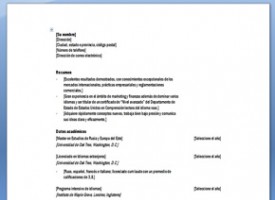 descargar plantilla curriculum vitae basico