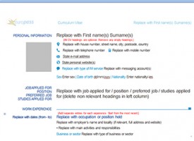 Curriculum En Ingles Curriculum En Ingles