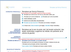 CV en Francés