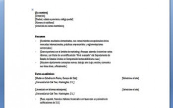Plantilla CV funcional