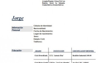Modelo simple de CV