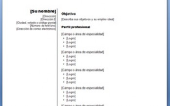 Plantilla funcional de CV