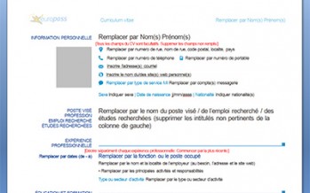 CV en Francés